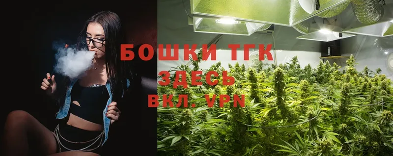 Бошки марихуана THC 21%  Рыбинск 